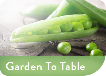 Garden To Table